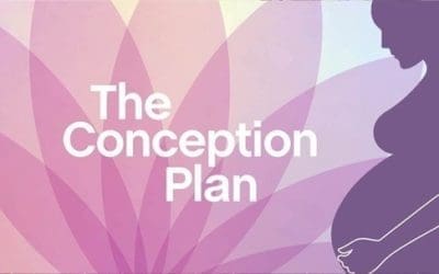 The Conception Plan: Detox your home