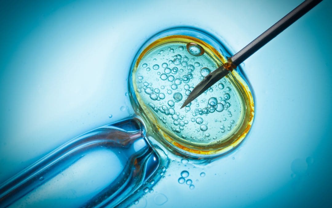 IVF: The birth of a trend